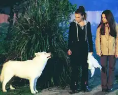 Зачарованные 3 сезон 21 серия